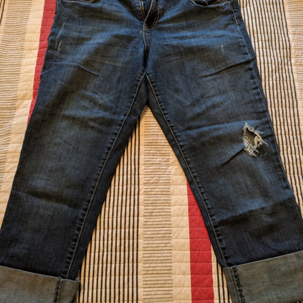 Kut from Kloth Capri